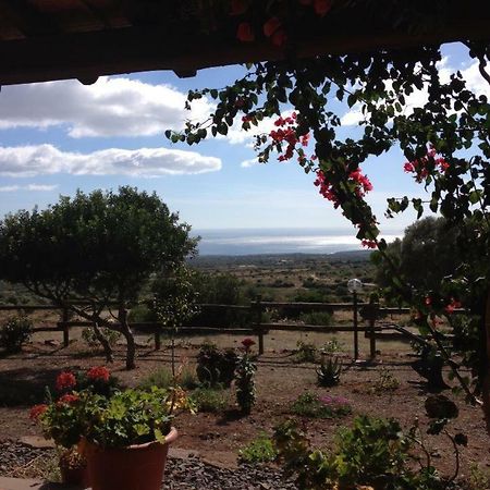 Villa Agriturismo Su Nuragheddu à Galtellì Extérieur photo