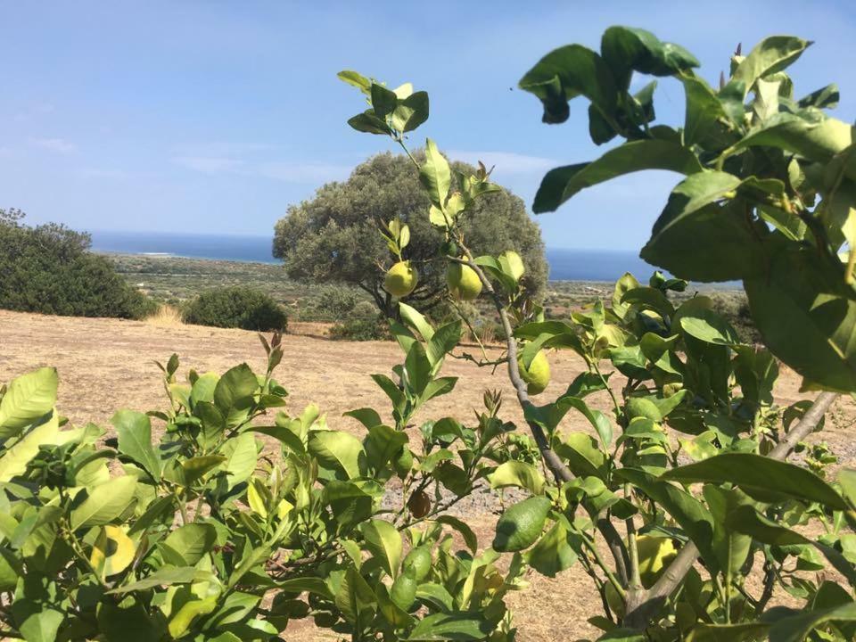 Villa Agriturismo Su Nuragheddu à Galtellì Extérieur photo