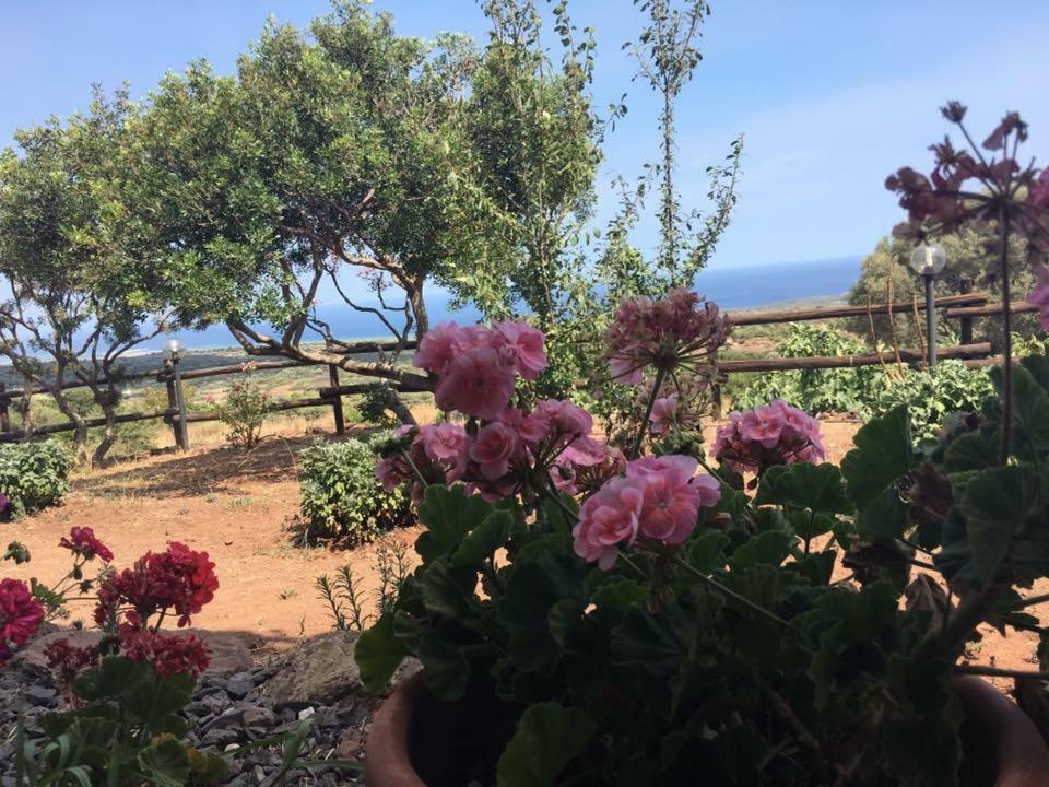 Villa Agriturismo Su Nuragheddu à Galtellì Extérieur photo